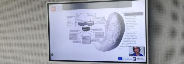 Presentation of AIDA at the TOGAS Kick-off Meeting